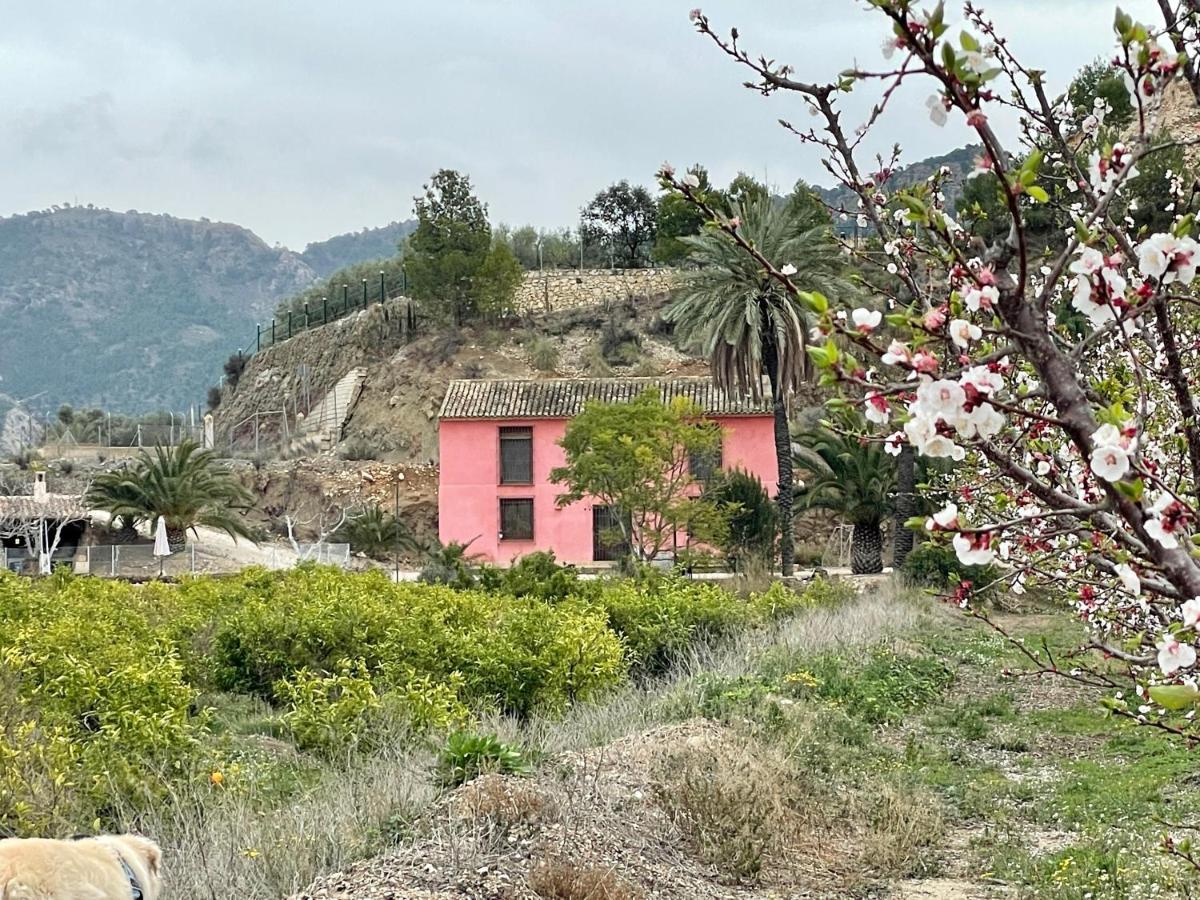 Casa Ramoncico. Finca El Campillo Blanca Exterior photo